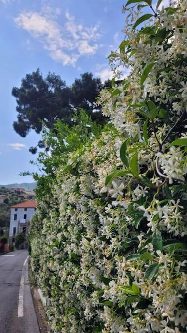 Vista Bella House Apartment Sanremo Bagian luar foto